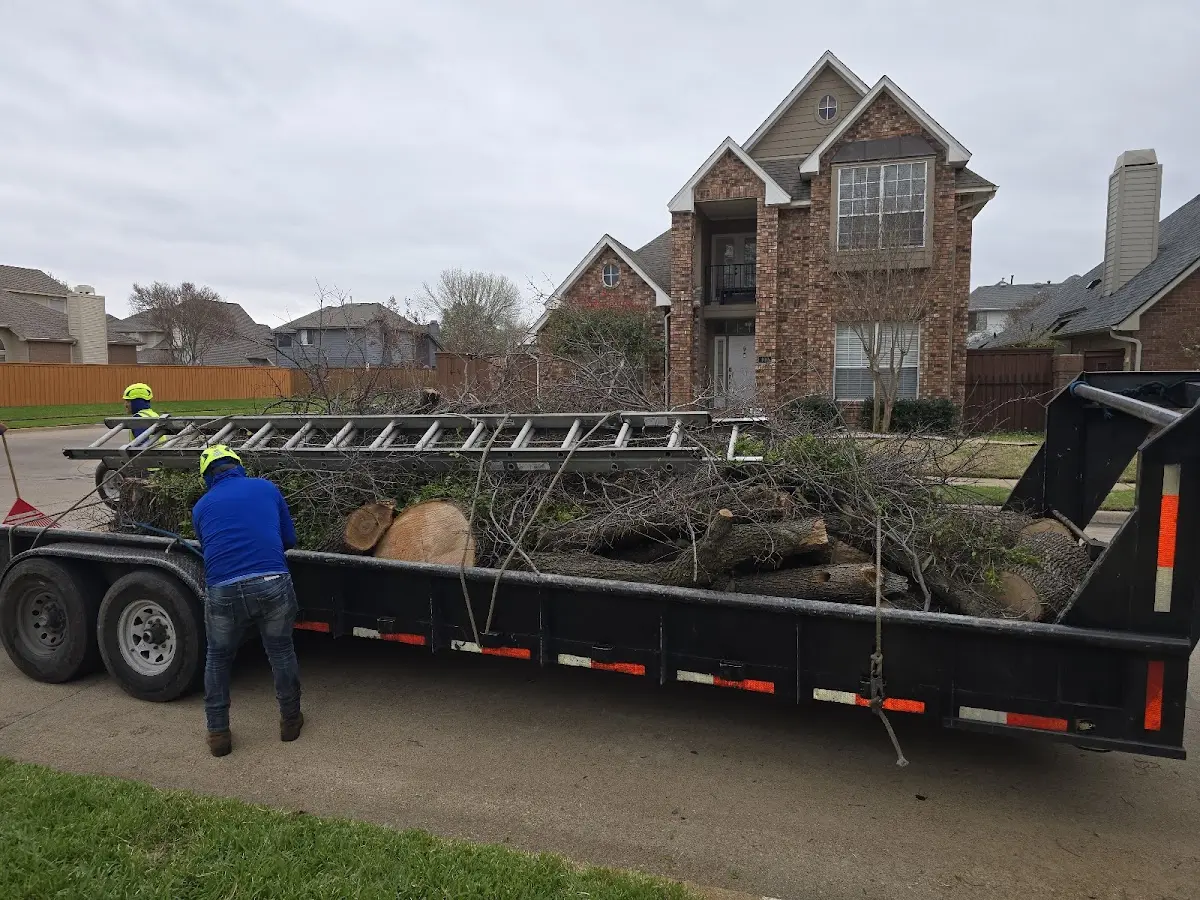 Expert Tree Fertilization with proper safety equipment in Covington